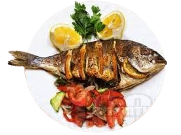 Ципура на скара